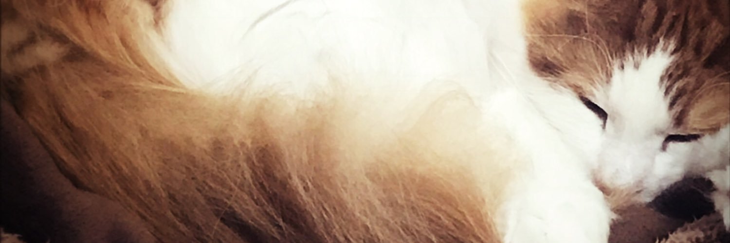 N1nja2's profile banner image