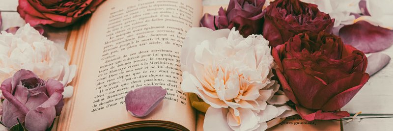 あかつき＠取引垢 banner