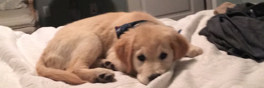 noahb13's profile banner image
