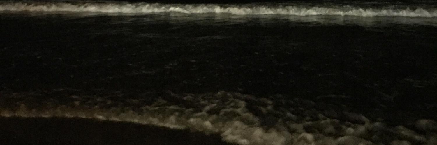 Gayboyfoever's profile banner image