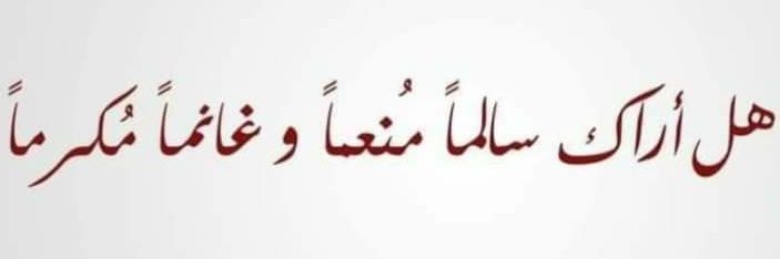 Ali Daher banner