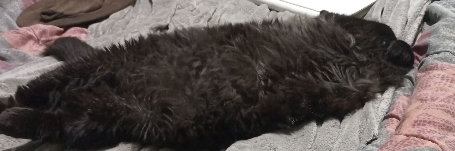 La_France_est_tombé banner