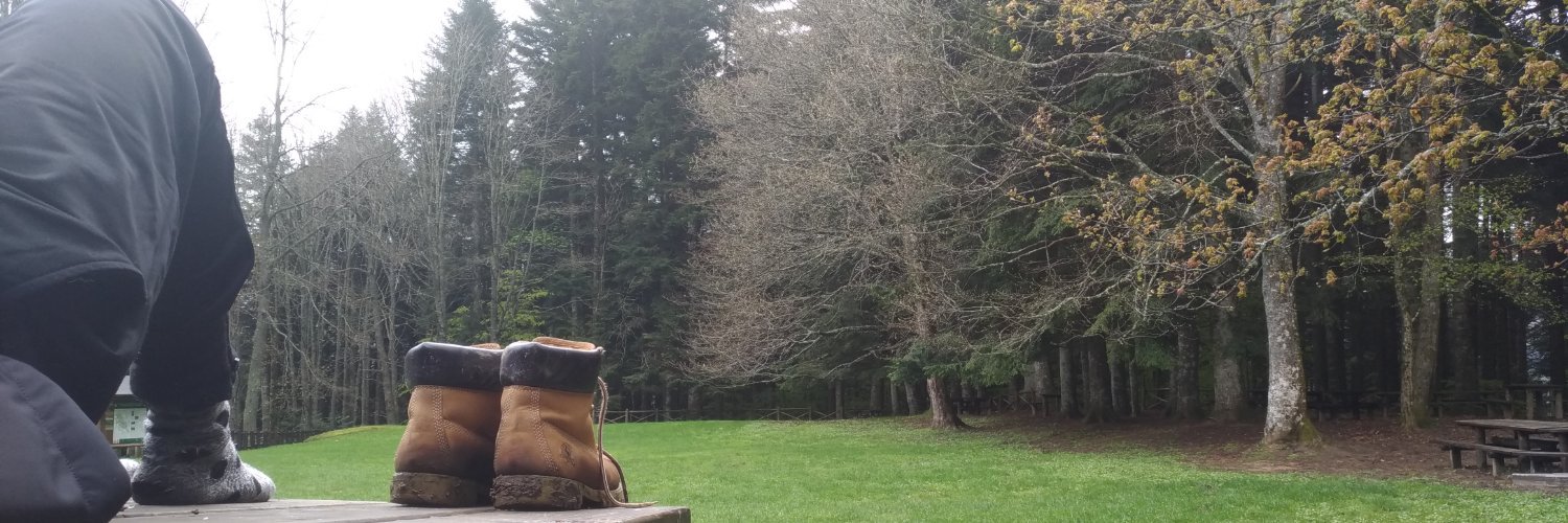 Fhylo's profile banner image