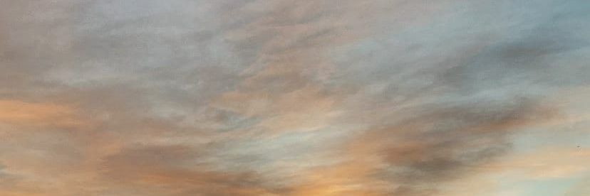 Cansselyy's profile banner image