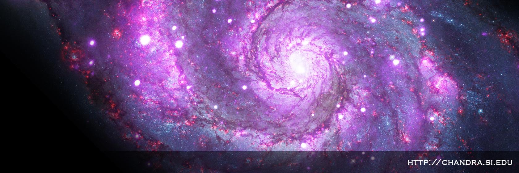chandraCDO's profile banner image