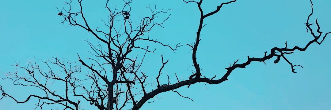 mervin536's profile banner image