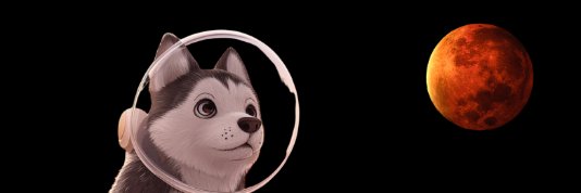 MemeCoinMars's profile banner image