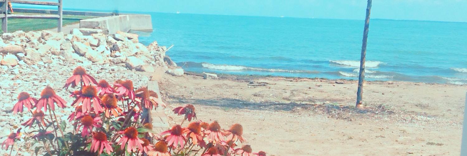 makennabirdd's profile banner image