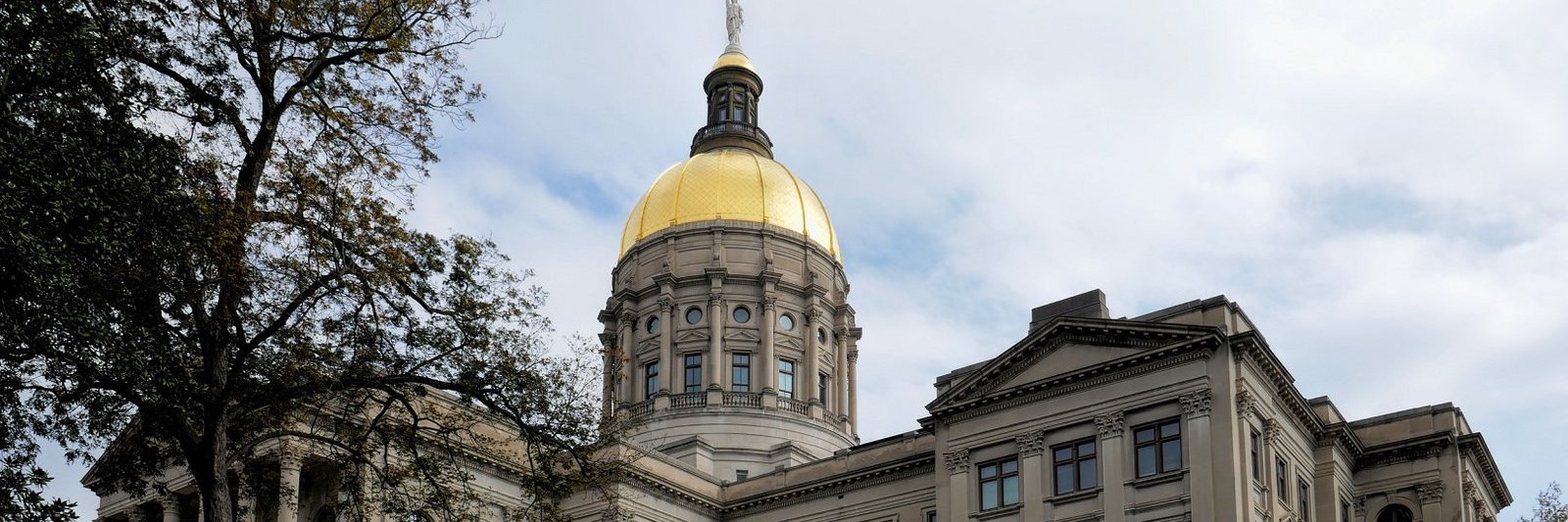 InvestGeorgia's profile banner image