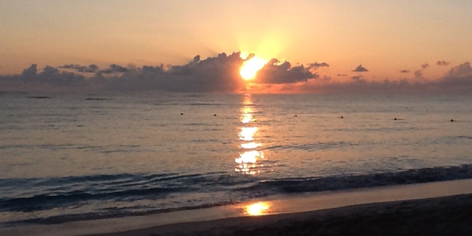 Carol Luciani banner