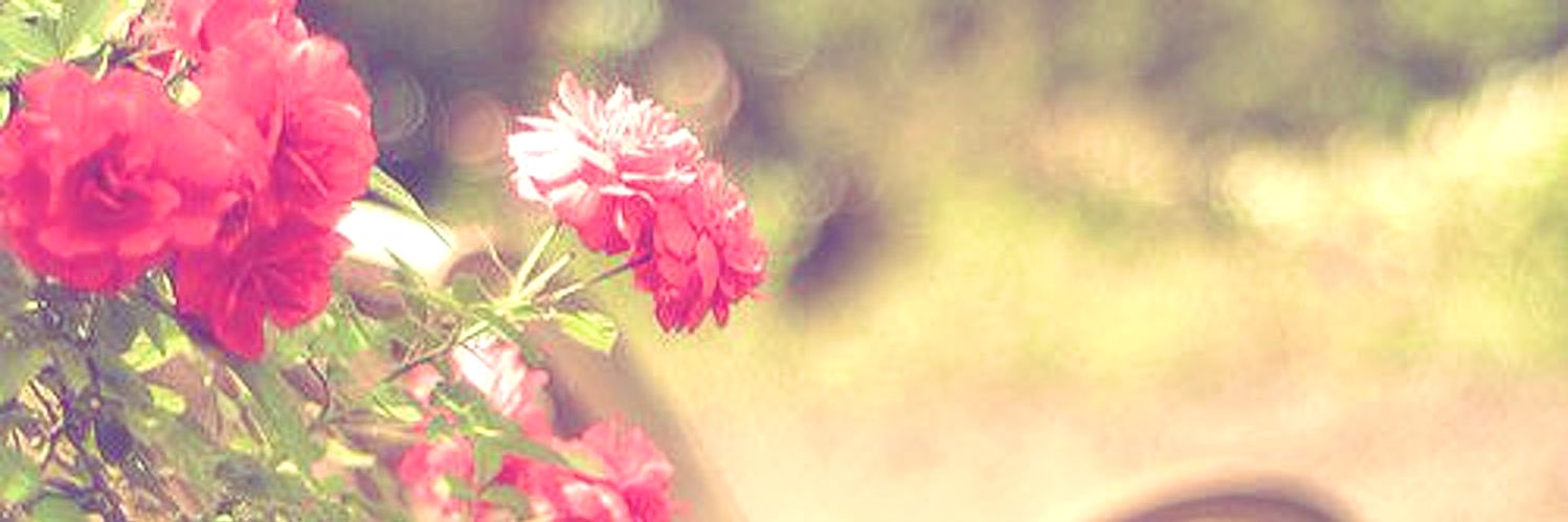.'s banner