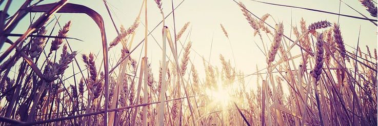 KerrPonts's profile banner image