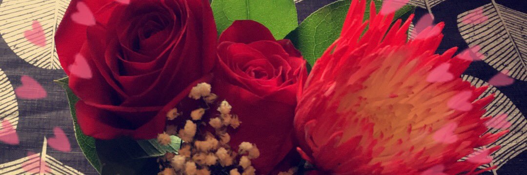 mariat_55's profile banner image