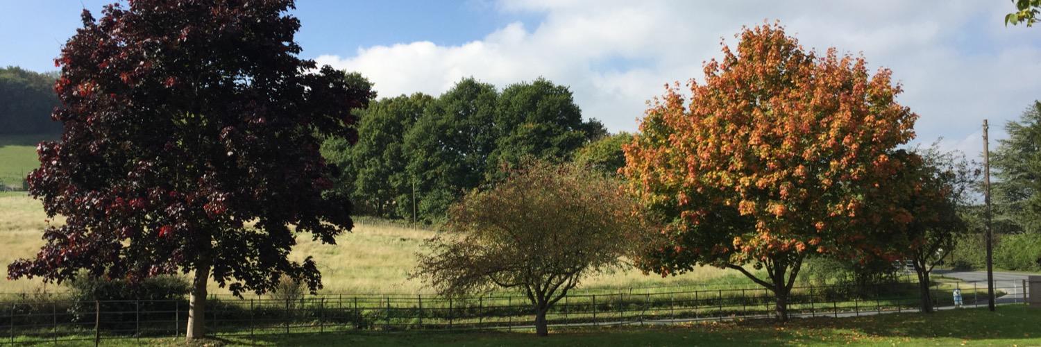 CrumptonHillFS's profile banner image