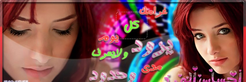 ehsas942's profile banner image