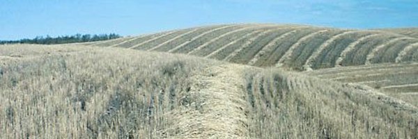 DrRossPerkins Profile Banner