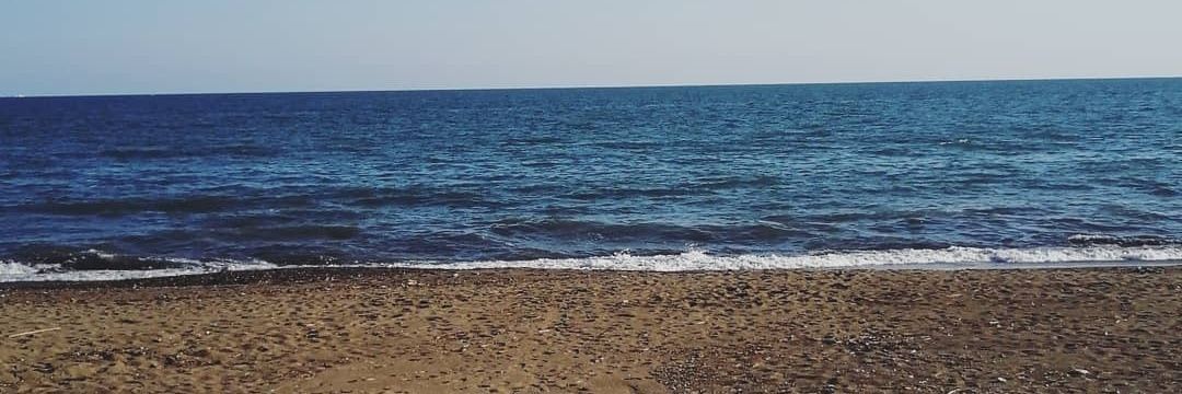 walkingtree_8's profile banner image