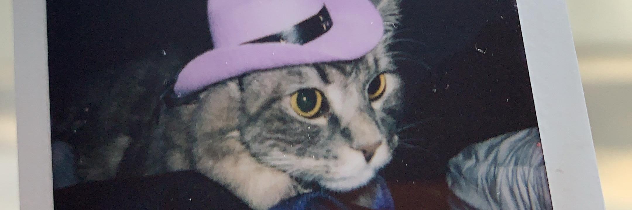 unknowngrl2000's profile banner image