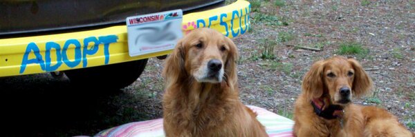 GRRoWisconsin Profile Banner