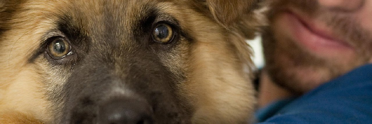 Española Humane banner