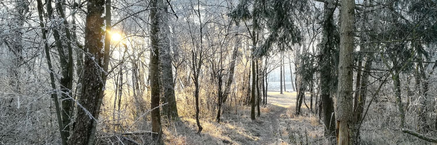 Loeppi81's profile banner image