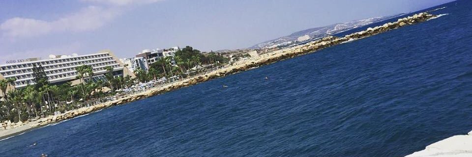 LianneBerman's profile banner image