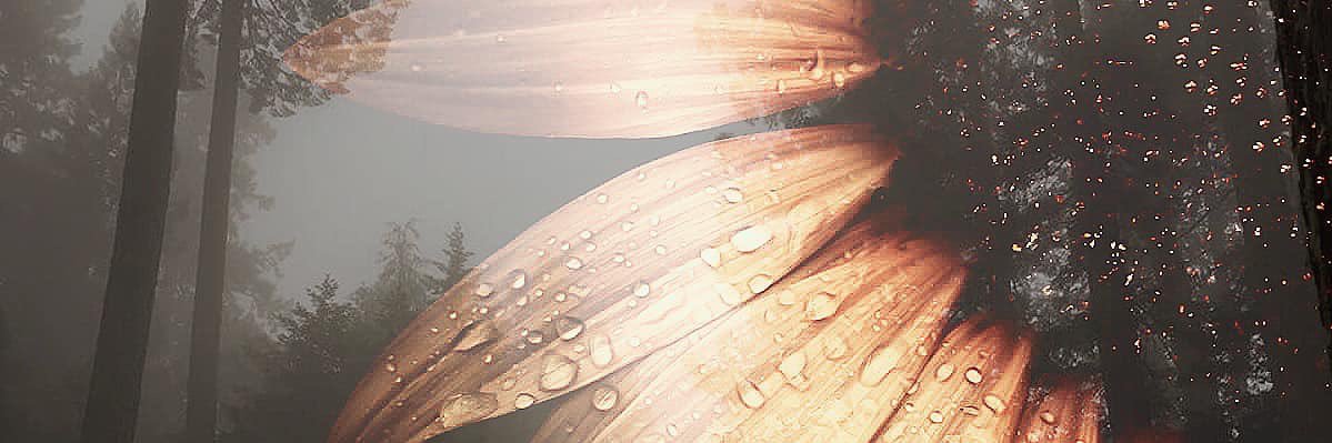 _JessicaAaron_'s profile banner image