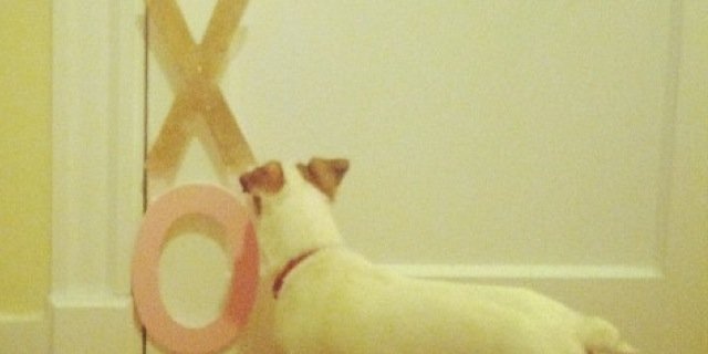 hellolaurenking's profile banner image