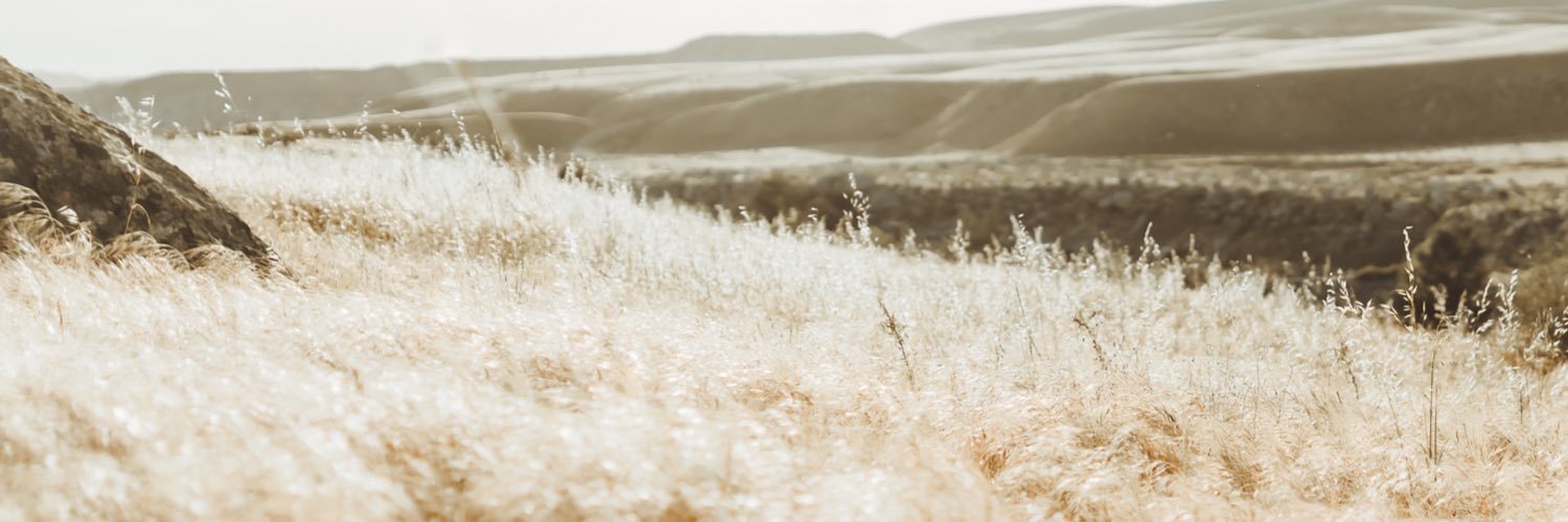 liyannla's profile banner image