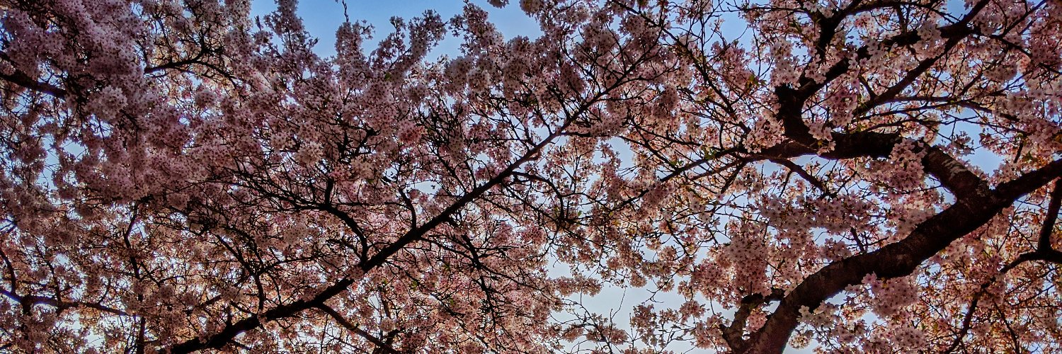 Healthy Uncertainty banner