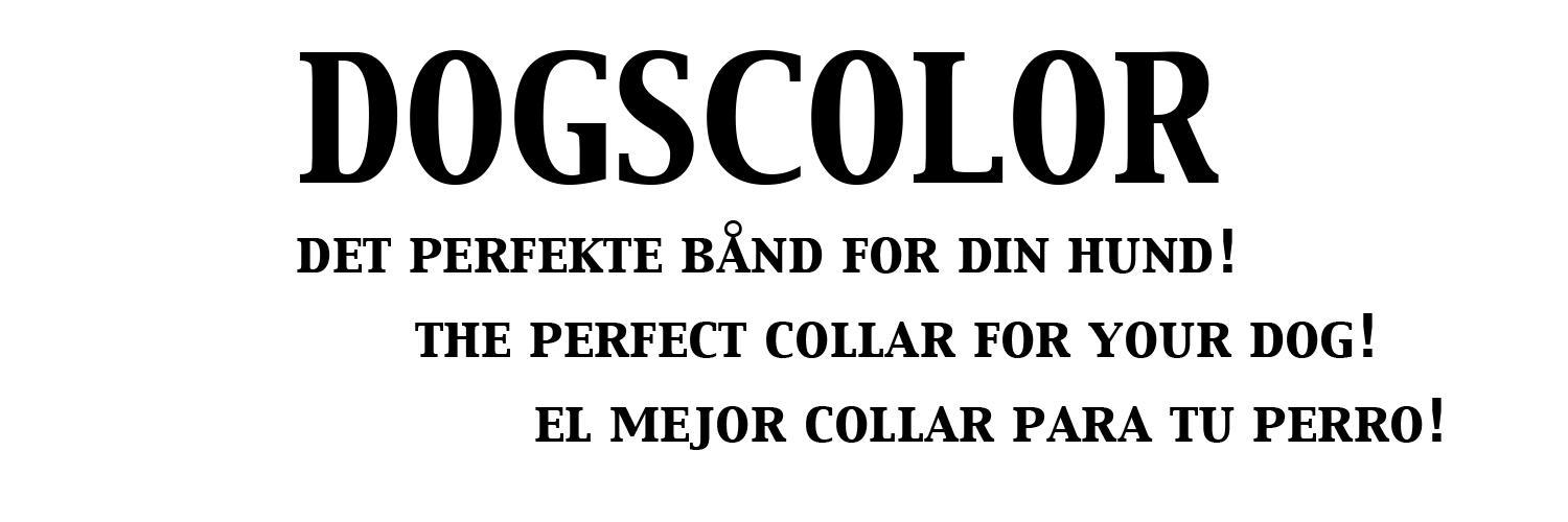 Dogscolor's profile banner image