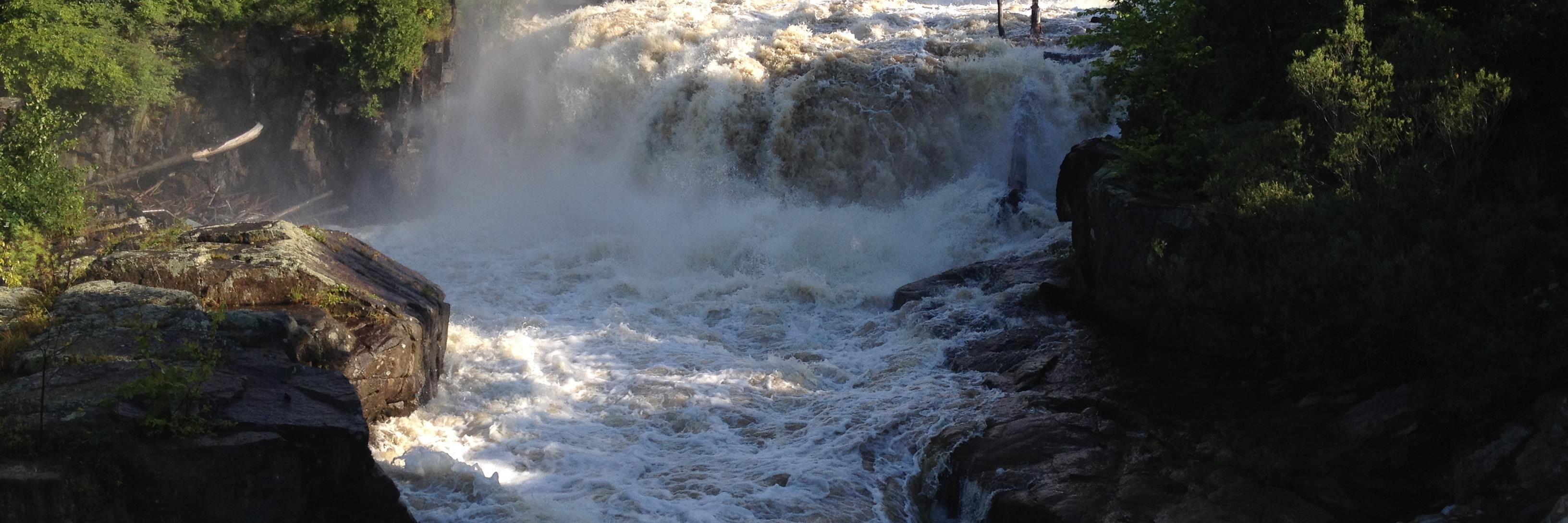StorchAndy's profile banner image