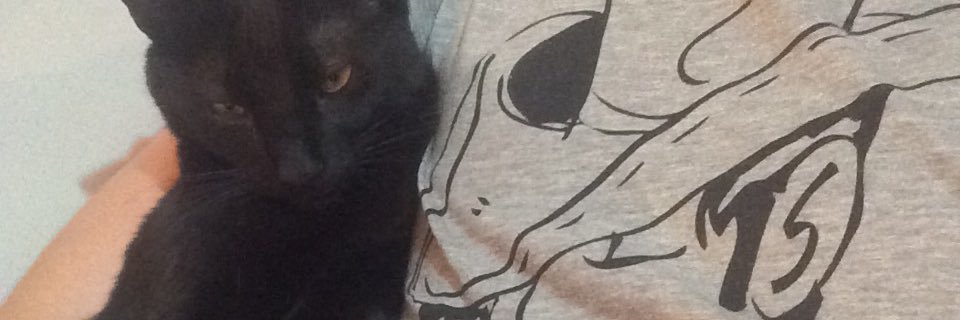 Joan Tomàs Noguera banner