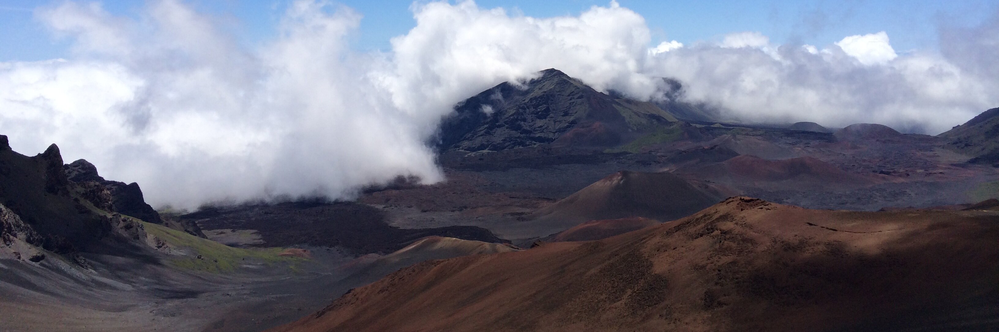 Sandra Beasley banner