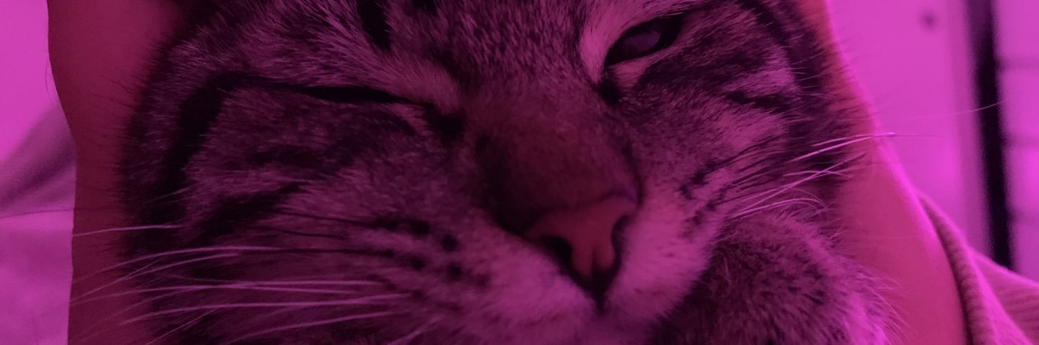 cameroniacovoni's profile banner image