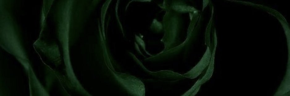 ckruid75's profile banner image