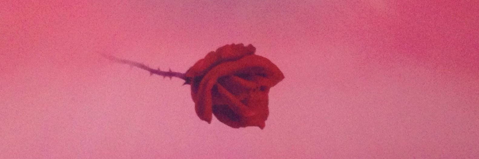 michaelcsill's profile banner image