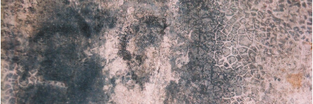 Tasiotone banner