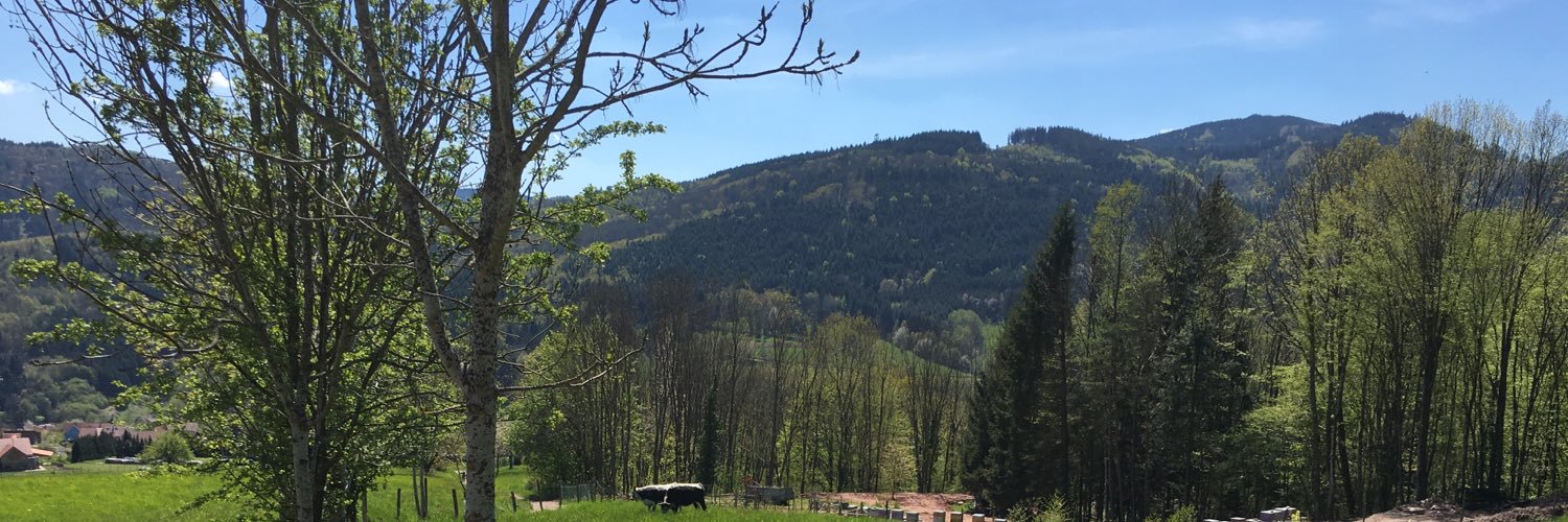 Richard Sebastien banner