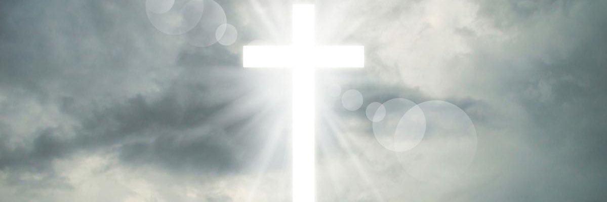 Maria_Barrera3's profile banner image