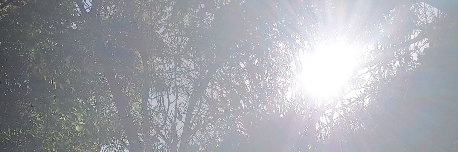 Schehere22's profile banner image