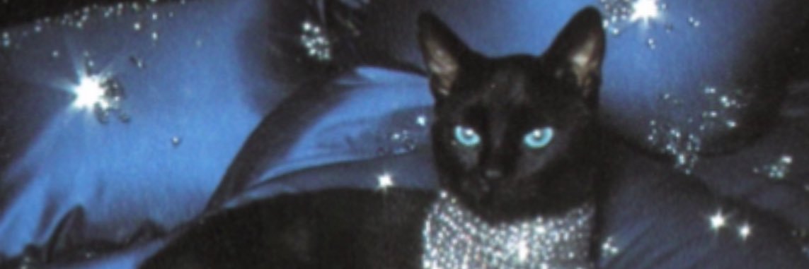 RealestFanm's profile banner image