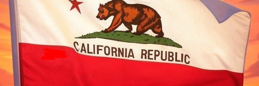 Cali girl 🇺🇸 banner