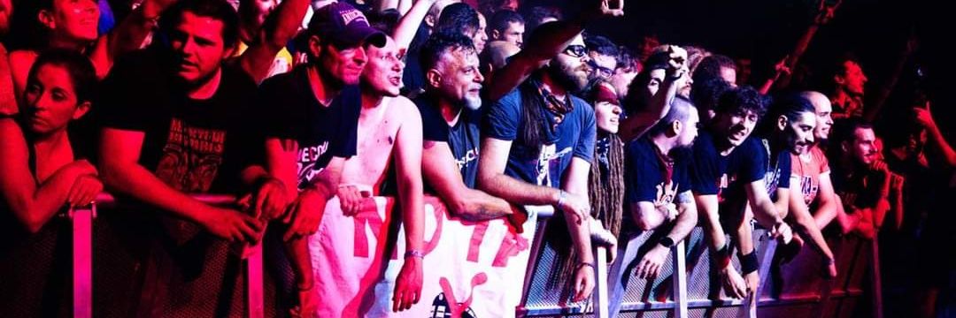 Danilo De Carlo banner