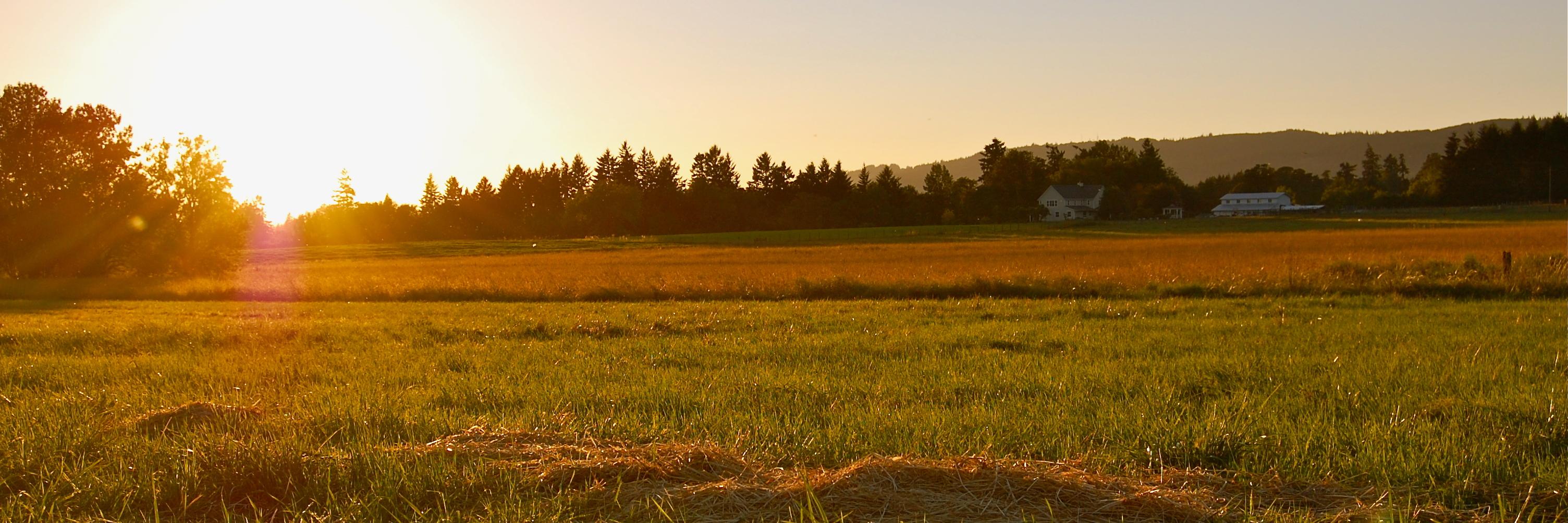 RealHealthBroz's profile banner image