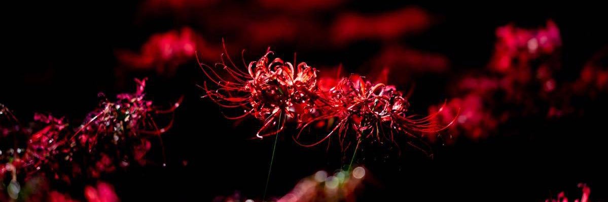 sweet_27ma's profile banner image