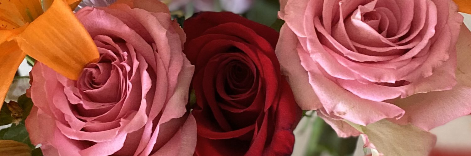 arraa415's profile banner image