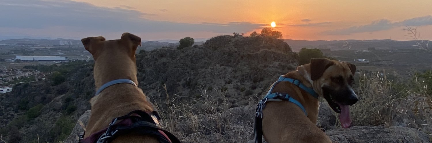 PplimaX's profile banner image