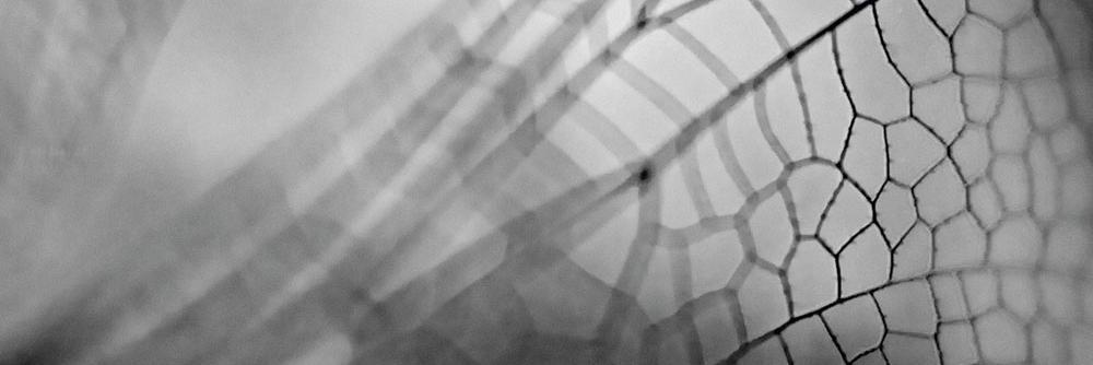 minimalbold's profile banner image
