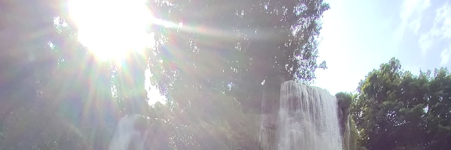 rizilevine's profile banner image